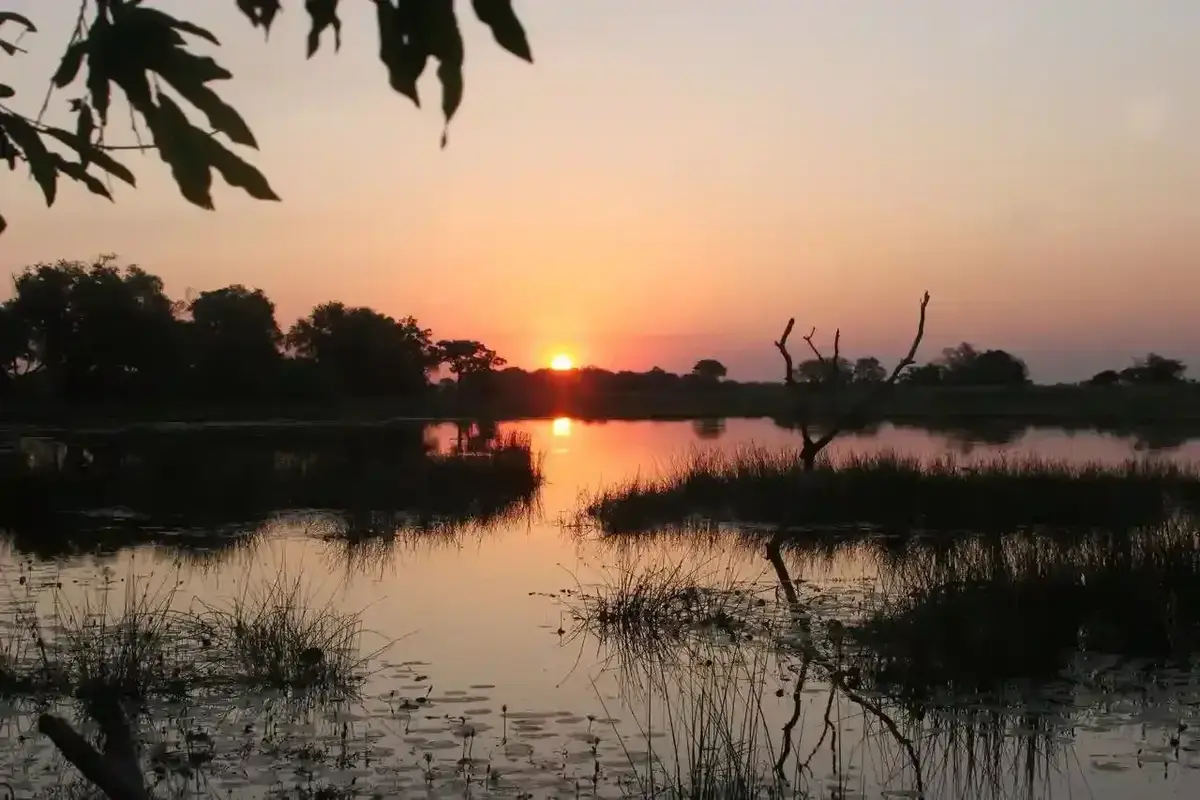 The Okavango Delta