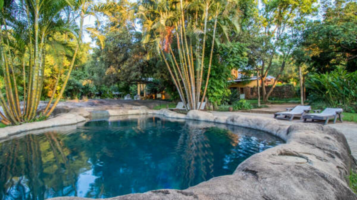 Gecko Lodge