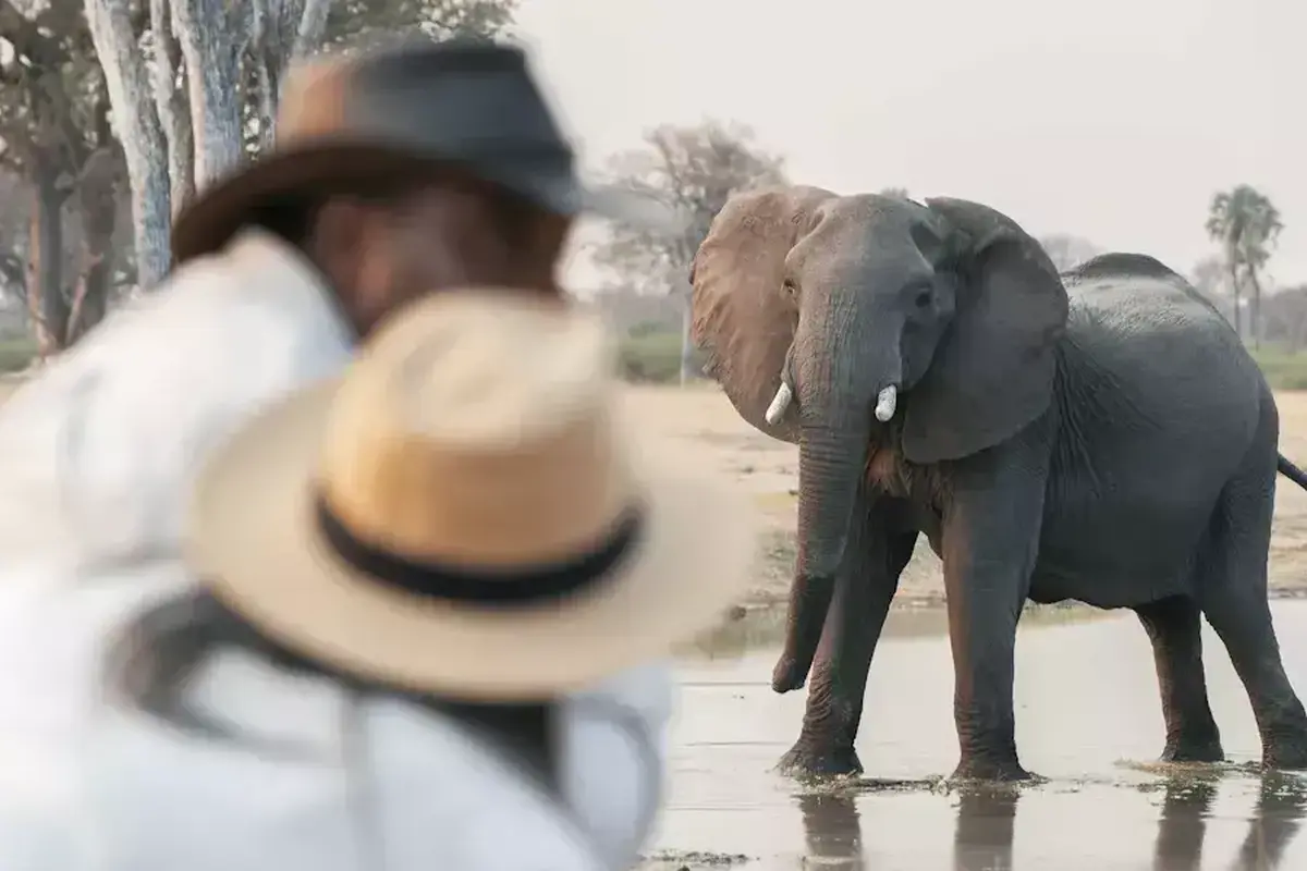 Linkwasha Camp