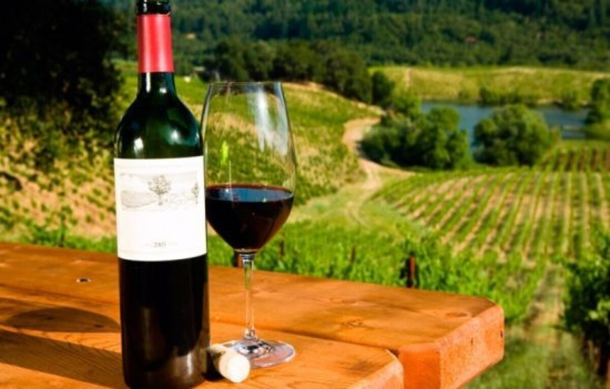 Shenako - Diklo - Wine tasting - Tbilisi