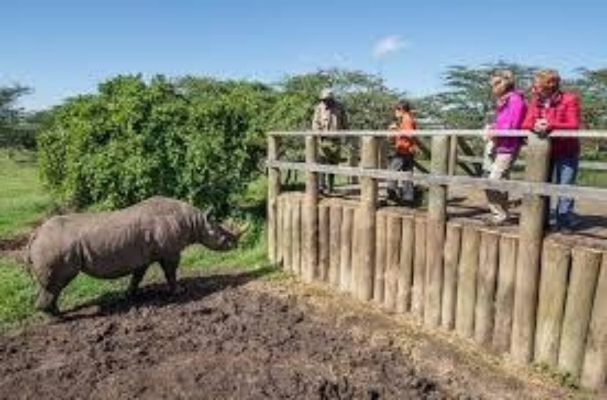 Porini Rhino Camp