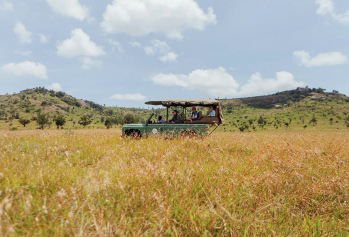 Safari Series Camp