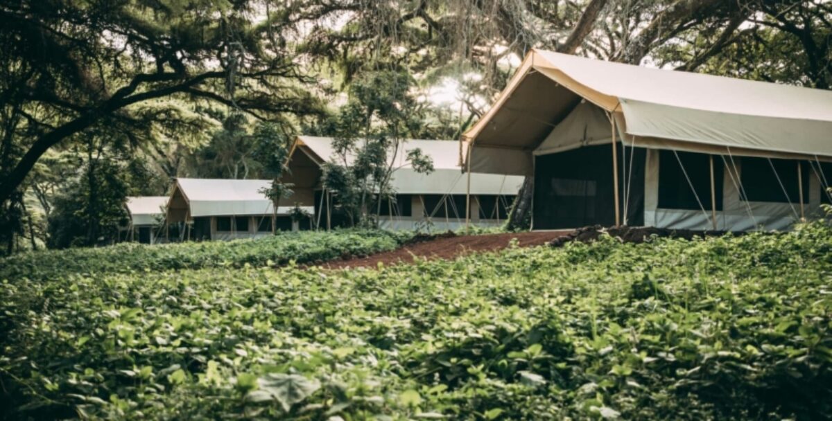 Ngorongoro Tortilis Camp