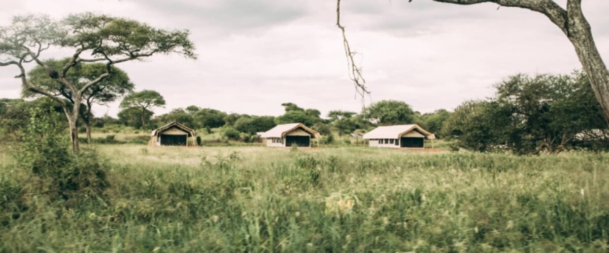 Tarangire Tortilis Camp