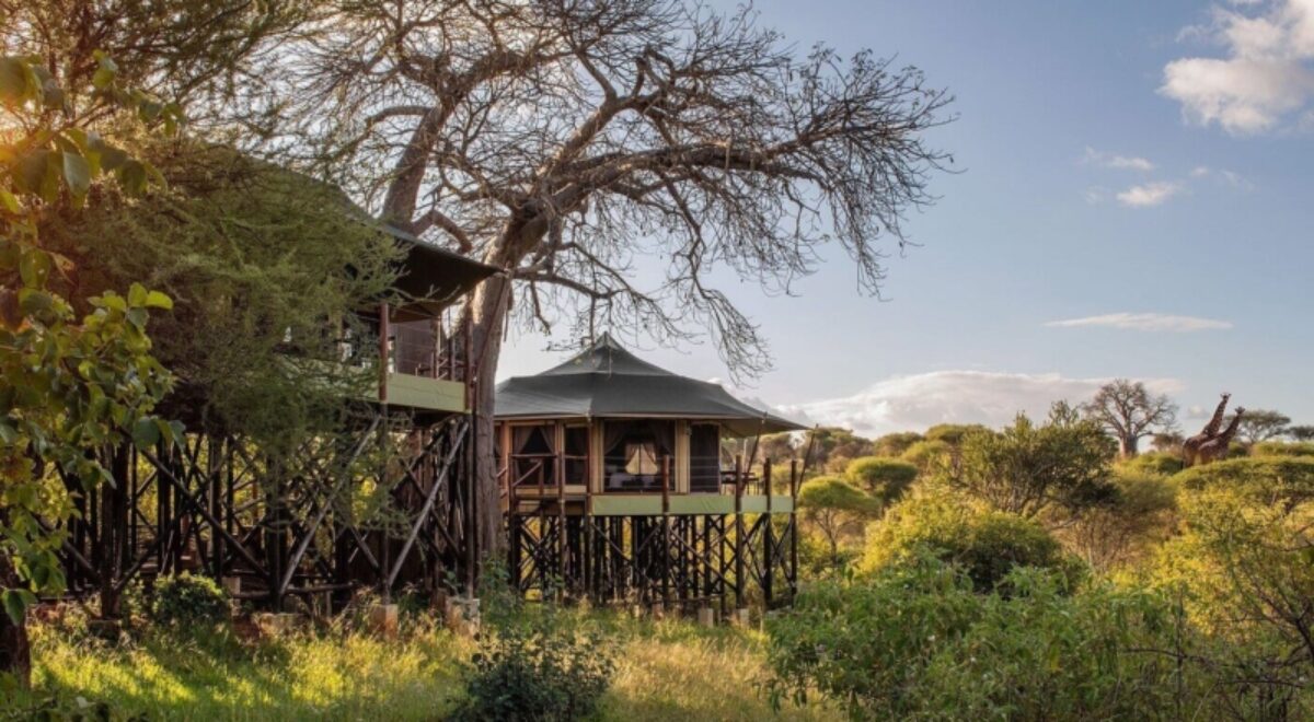 Wellworth Tarangire Kuro Treetops Lodge
