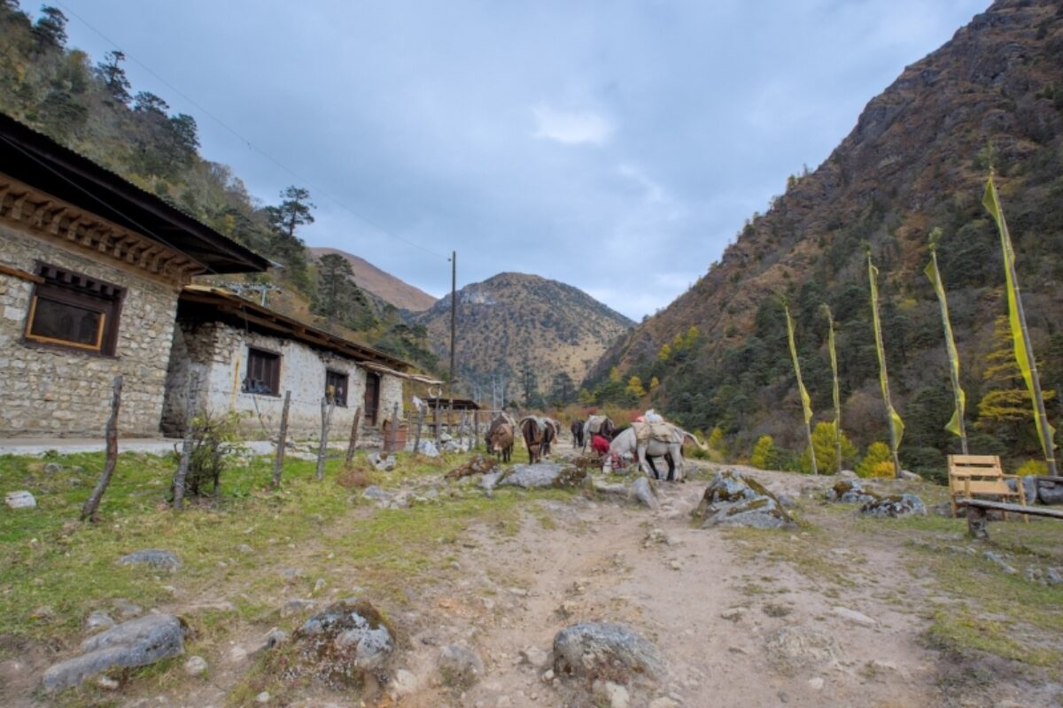 End of trek, Thombu Shong to Gunitsawa Village