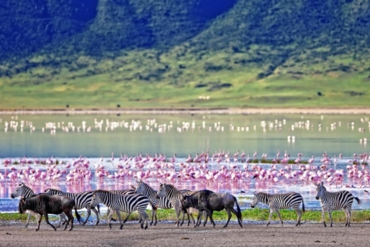 Ngorongoro Crater floor and the fertile highlands of Karatu