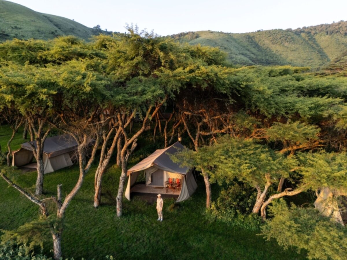 Mysigio Camp