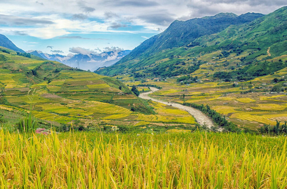 Hanoi - Sapa