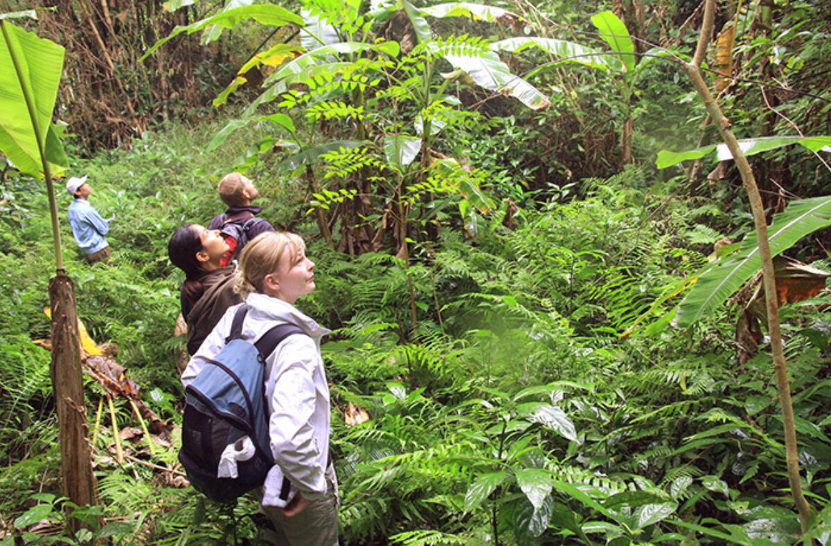 Hanoi to Cat Ba – Trekking through the National Park