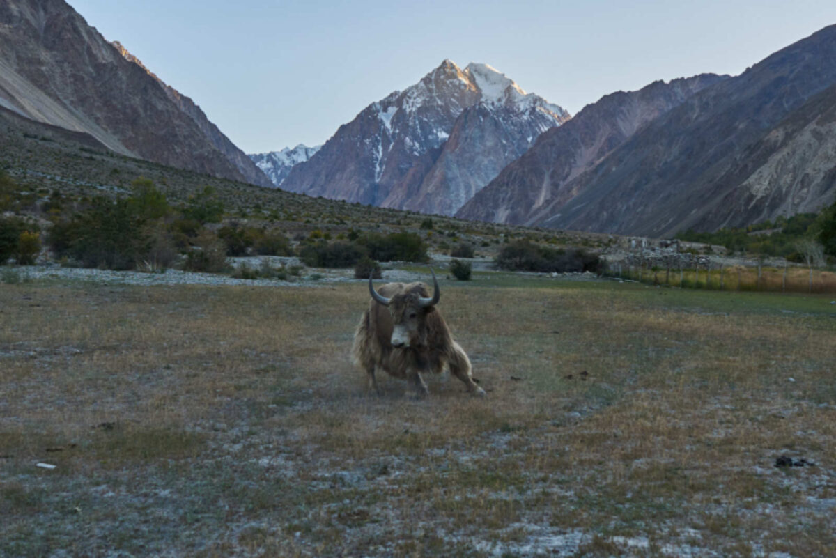 Chapdarkul Lake – Bachor Pasture