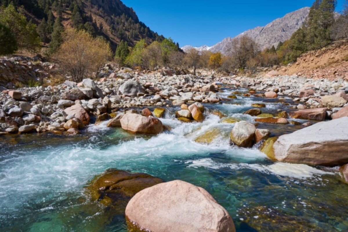 Pariyon River