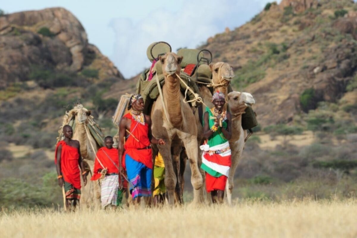 Expedition safari in Laikipia