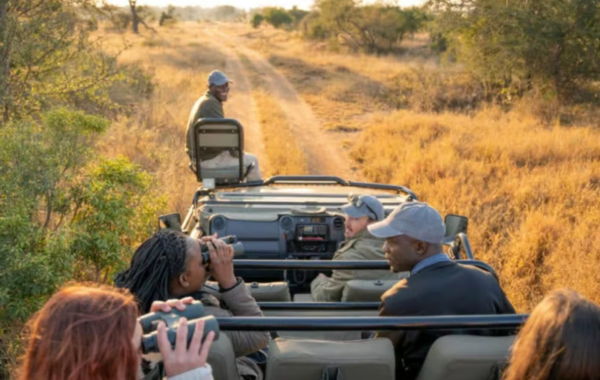 The best budget options around Kruger