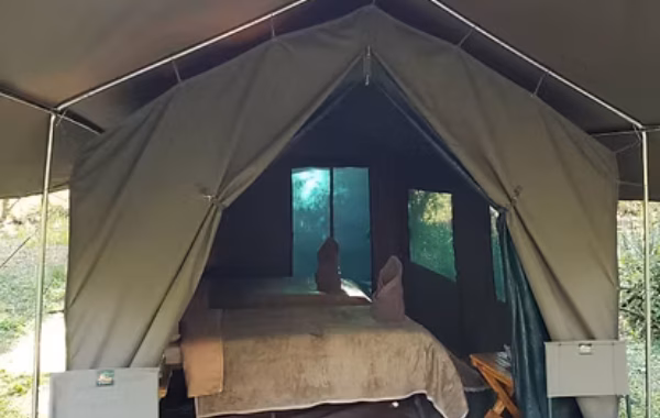 Mobile camps