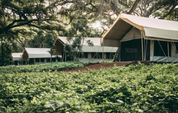 Ngorongoro Tortilis Camp