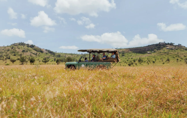 Safari Series Camp