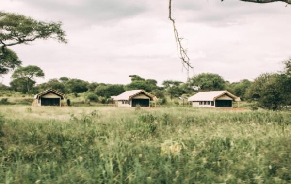 Tarangire Tortilis Camp