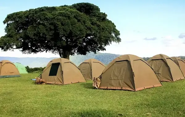 Ngorongoro Simba Campsite