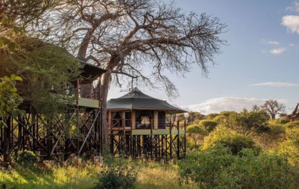 Wellworth Tarangire Kuro Treetops Lodge