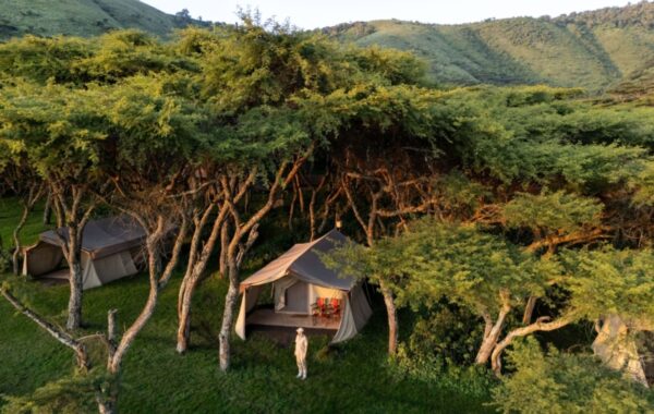 Mysigio Camp