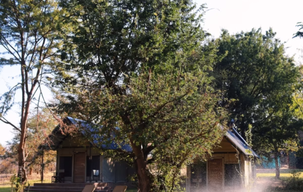 Mongwe Safari Camp