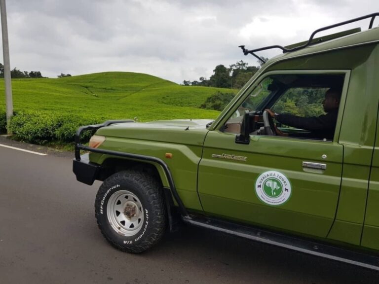 Usalama Tours