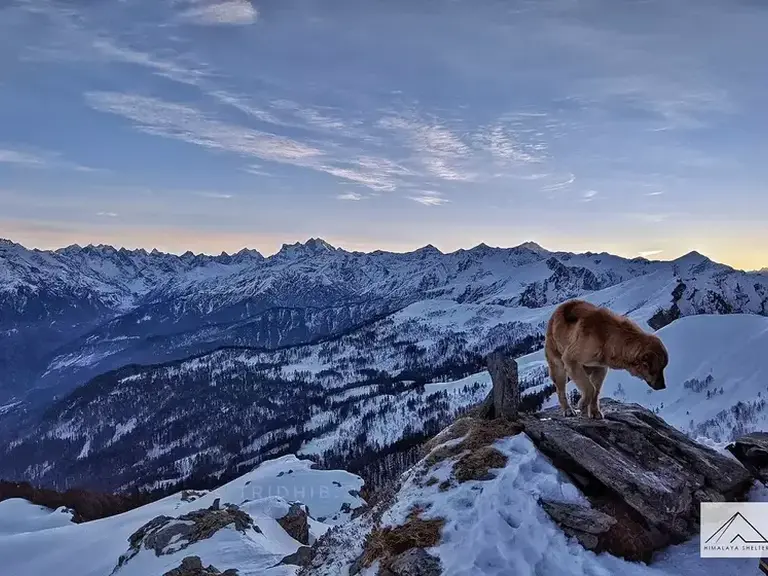 Himalaya Shelter