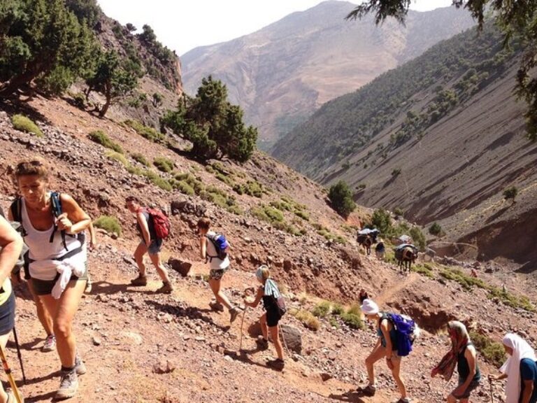 Imlil Trekking