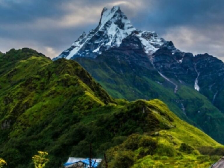 Nepal Vision Treks & Expeditions