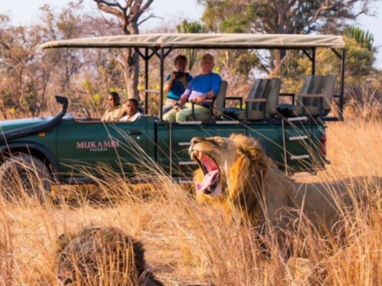 Absolute Zambia Safaris