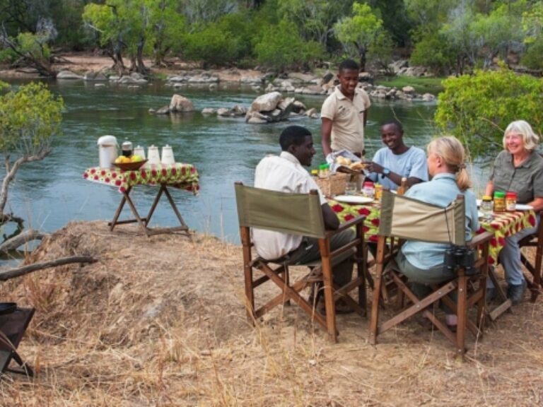 Absolute Zambia Safaris
