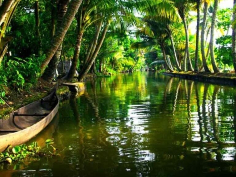 Bespoke India Travel