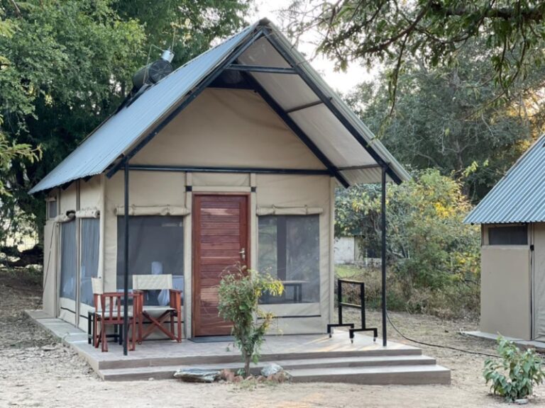 Zimbabwe Travels