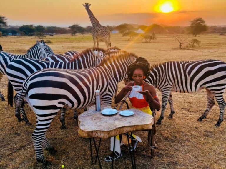 Pinnacle Adventures & Safaris