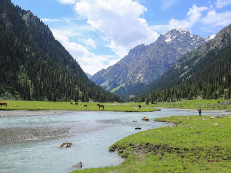 Kyrgyz Life