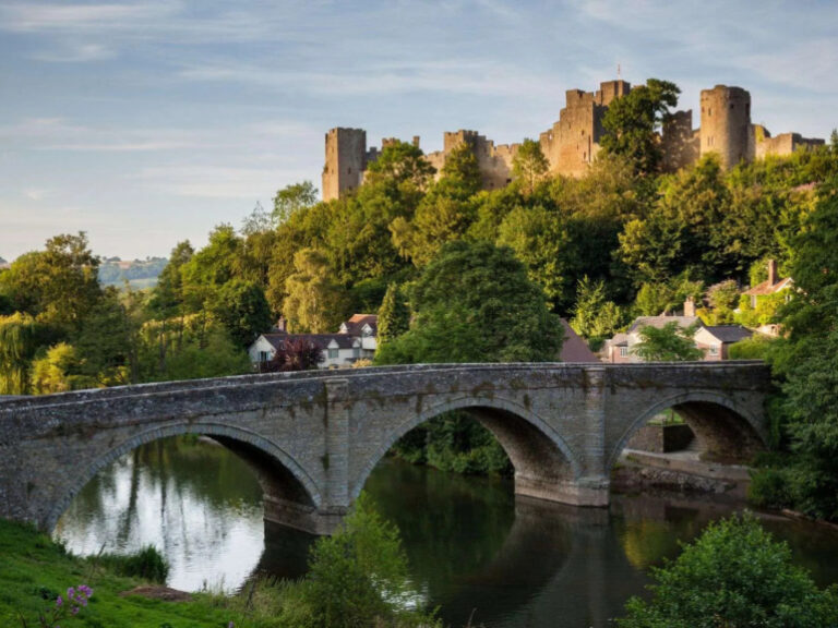 The Welsh Walking Company