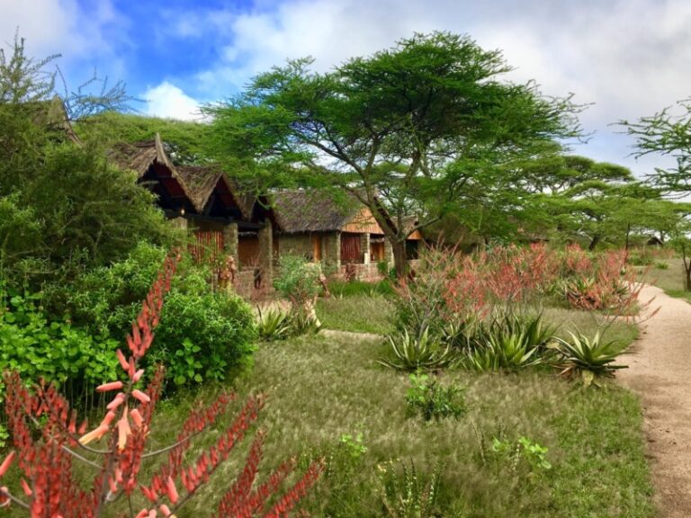 Ndutu Safari Lodge