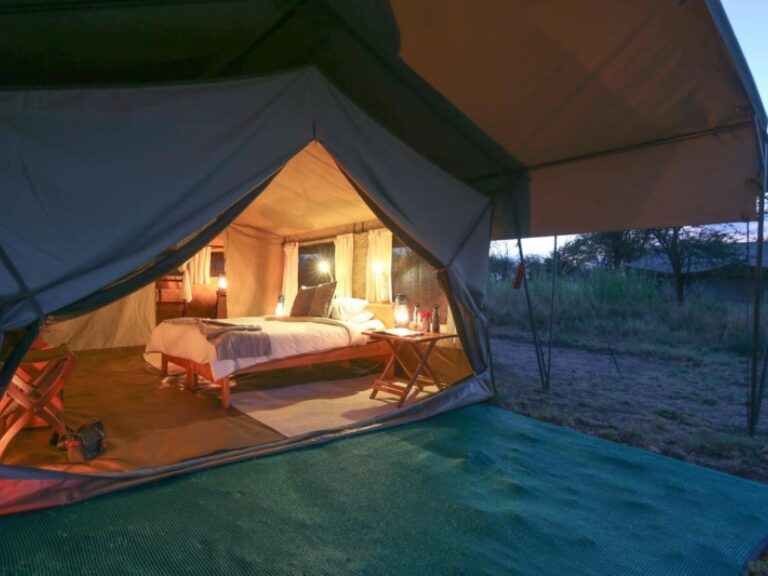 Wild Frontiers