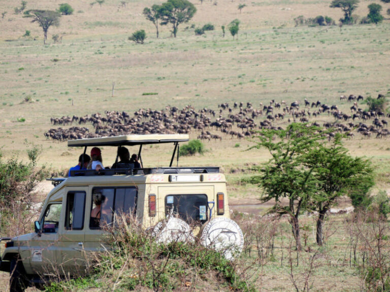Nandi Adventures