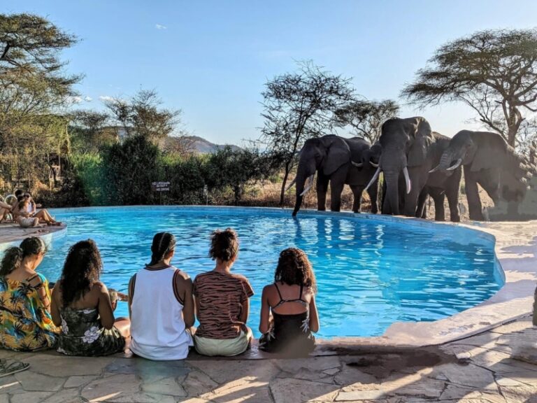 Pinnacle Adventures & Safaris