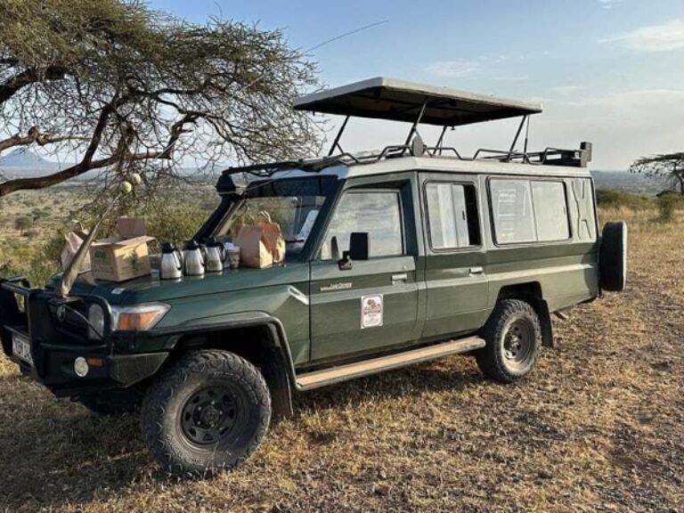 Beyond the Plains Safaris