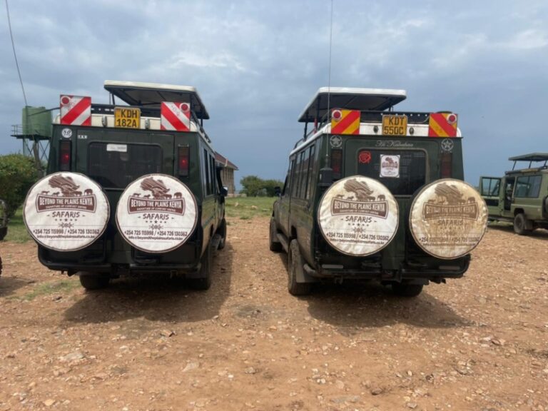 Beyond the Plains Safaris