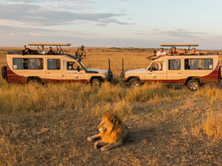 Odyssey Safaris
