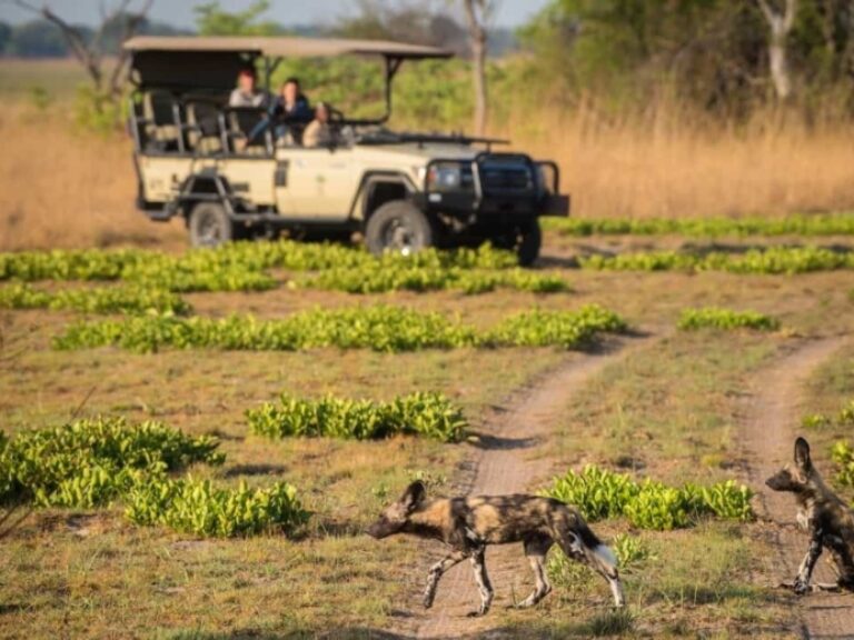 African Encounters