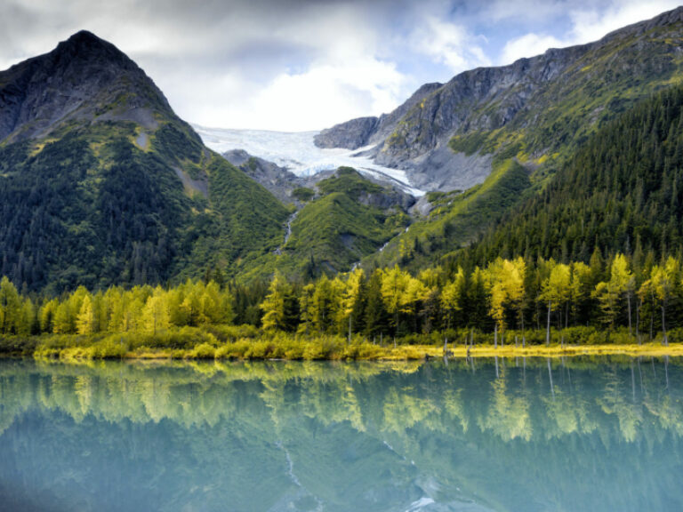 Alaska Gold Standard Tours