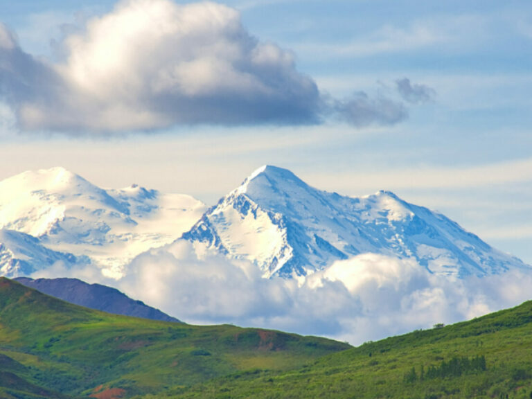 Alaska Gold Standard Tours