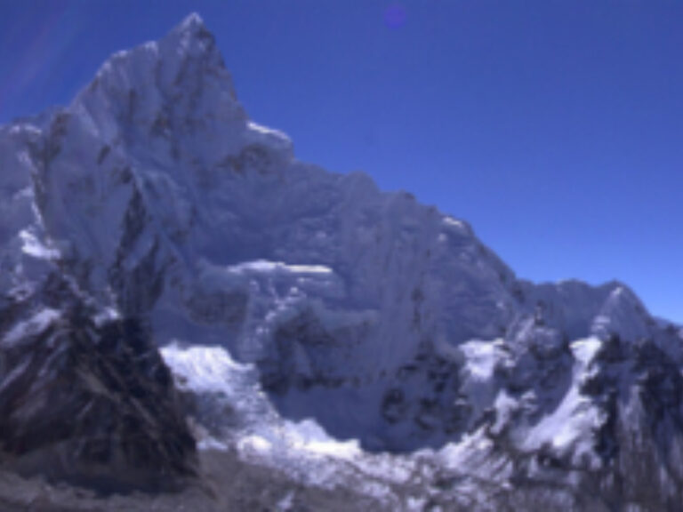 Amigo Treks & Expeditions