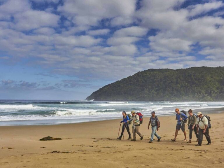Amity Tours