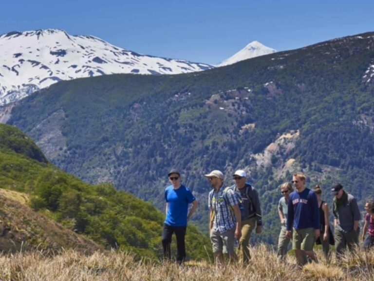 Amity Tours